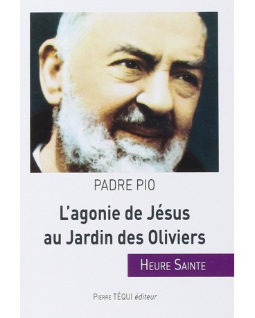 AGONIE DE JÉSUS AU JARDIN DES OLIVIERS HEURE SAINTE DU PADRE PIO /96/