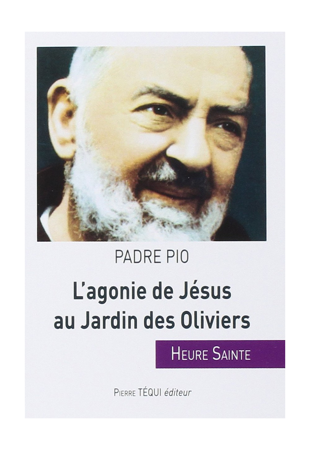 AGONIE DE JÉSUS AU JARDIN DES OLIVIERS HEURE SAINTE DU PADRE PIO /96/