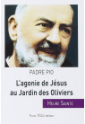 AGONIE DE JÉSUS AU JARDIN DES OLIVIERS HEURE SAINTE DU PADRE PIO /96/