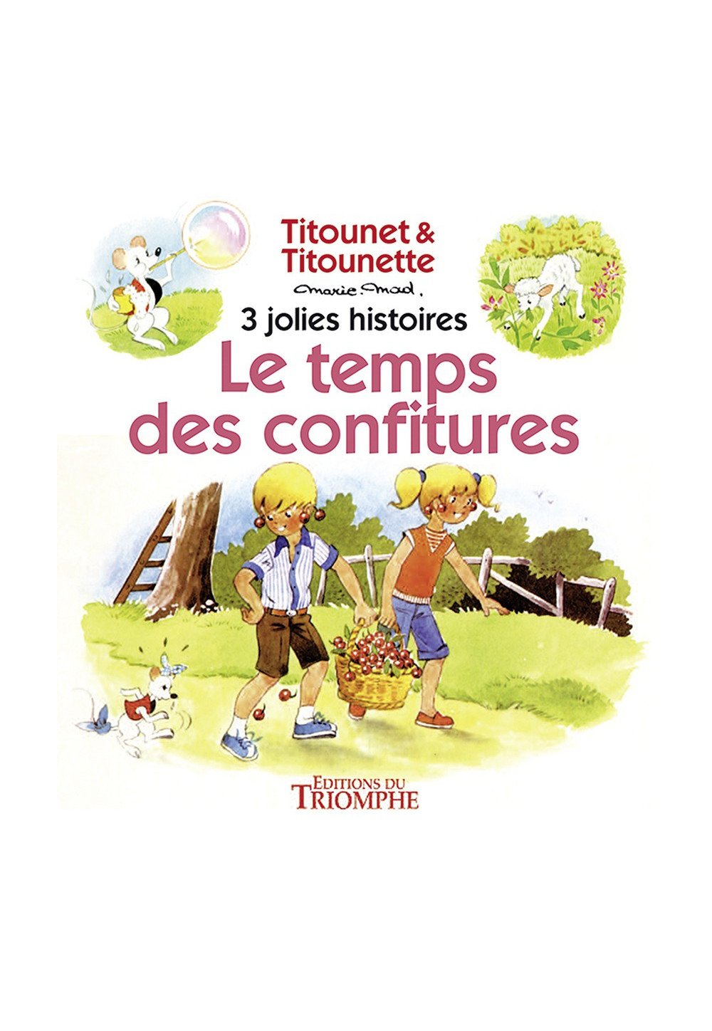 TEMPS DES CONFITURES (LE)