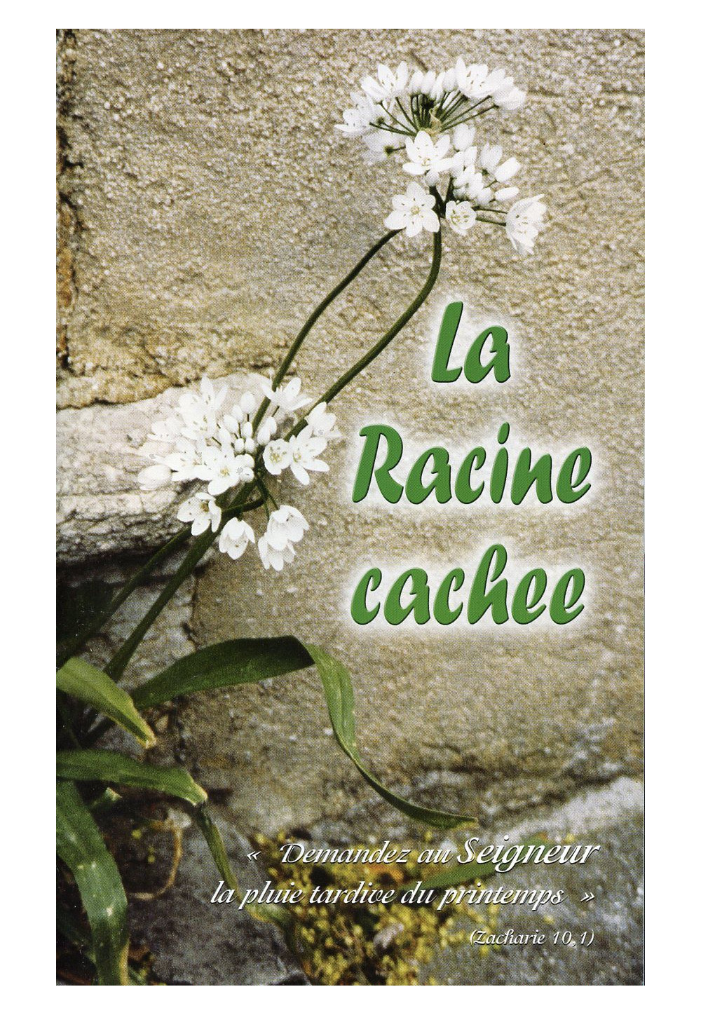 RACINE CACHEE (LA) Courte biographie et spiritualité Sr Borgarino