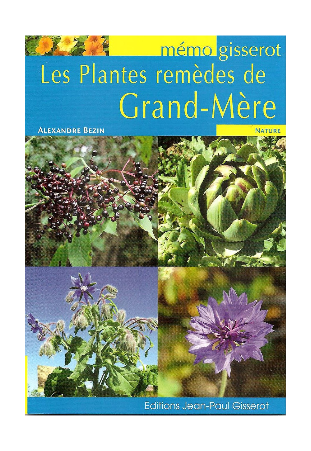 PLANTES REMÈDES DE GRAND-MÈRE (LES)