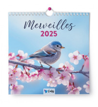 CALENDRIER MERVEILLES 2025