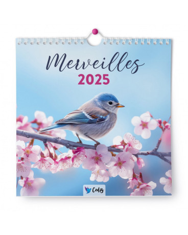 CALENDRIER MERVEILLES 2025