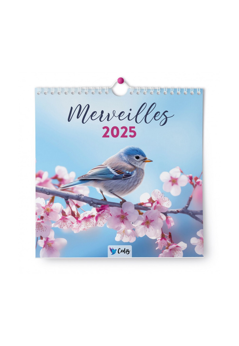 CALENDRIER MERVEILLES 2025