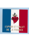 DRAPEAU SACRÉ COEUR (Loublande) ESPOIR ET SALUT DE LA FRANCE