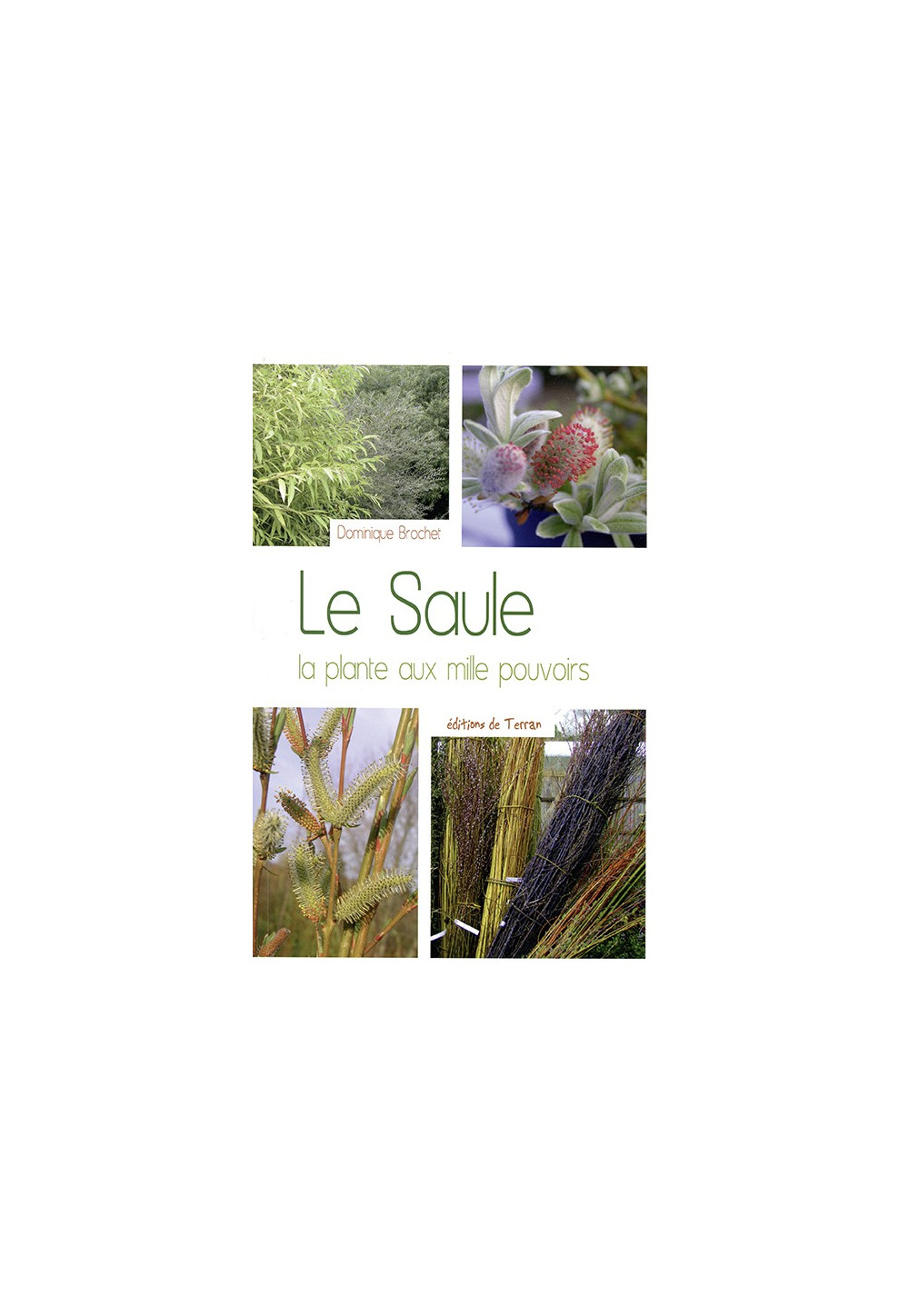 SAULE (LE) La plante aux mille pouvoirs