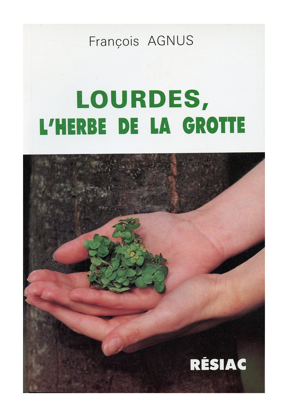 LOURDES L'HERBE DE LA GROTTE